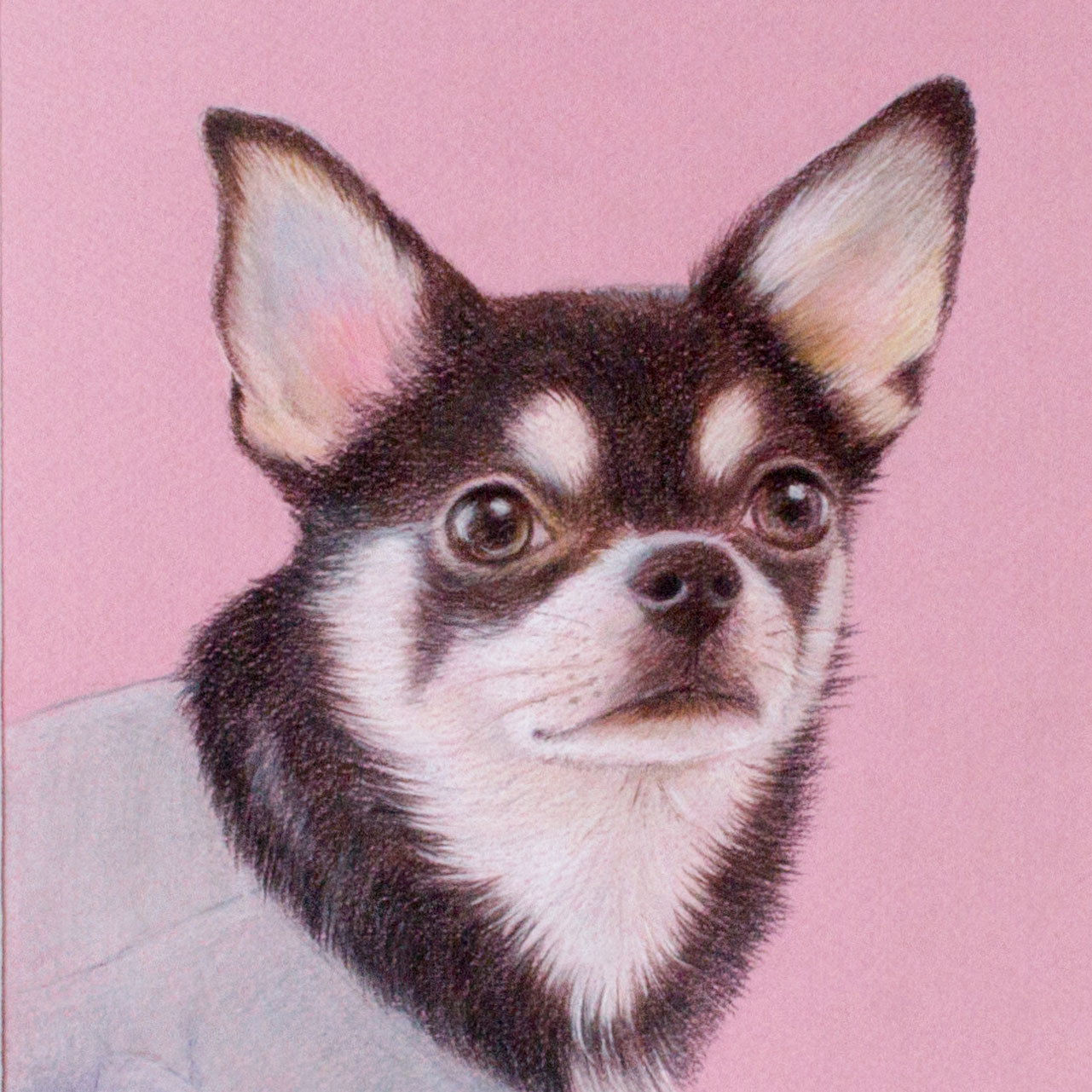 色鉛筆画 手描き 犬の絵 - インテリア