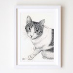 ペット肖像画デッサン猫yumi